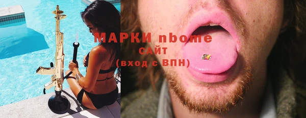 мдпв Верхний Тагил