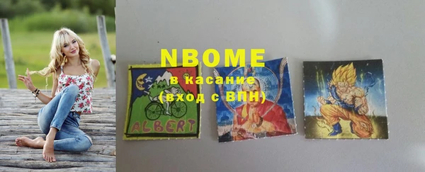 мдпв Верхний Тагил