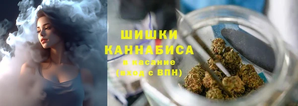 мдпв Верхний Тагил