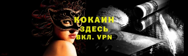 мдпв Верхний Тагил