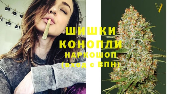 мдпв Верхний Тагил