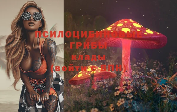 мдпв Верхний Тагил