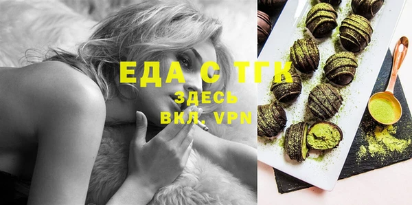 мдпв Верхний Тагил