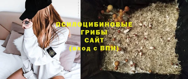 индика Верхнеуральск
