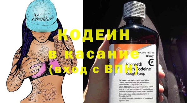 мдпв Верхний Тагил