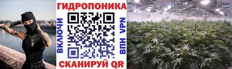 Бошки марихуана план  даркнет формула  Полтавская  ОМГ ОМГ сайт 